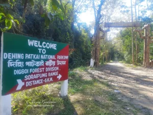 dehing patkai national park